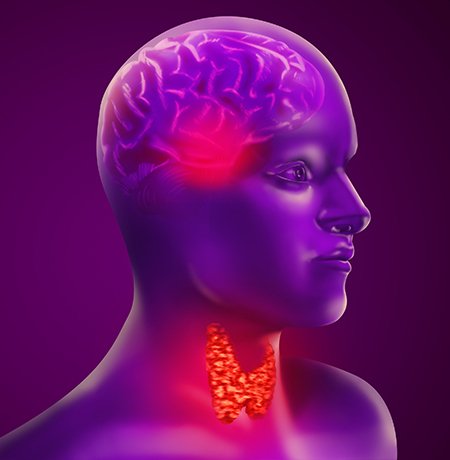 Head and Neck Cancers